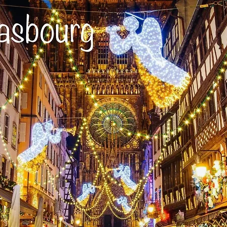 Sollaris 3p 1ere Etage A 11km D'europa-park * Friesenheim