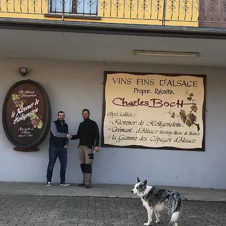 Sollaris 3p 1ere Etage A 11km D'europa-park *