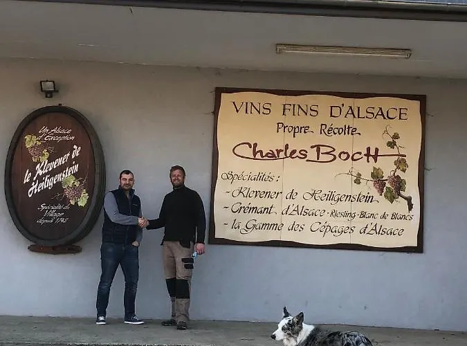 Sollaris 3p 1ere Etage A 11km D'europa-park *